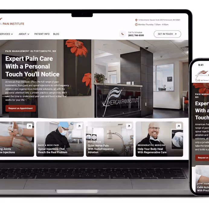 American Pain Institute