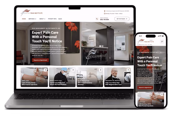 American Pain Institute