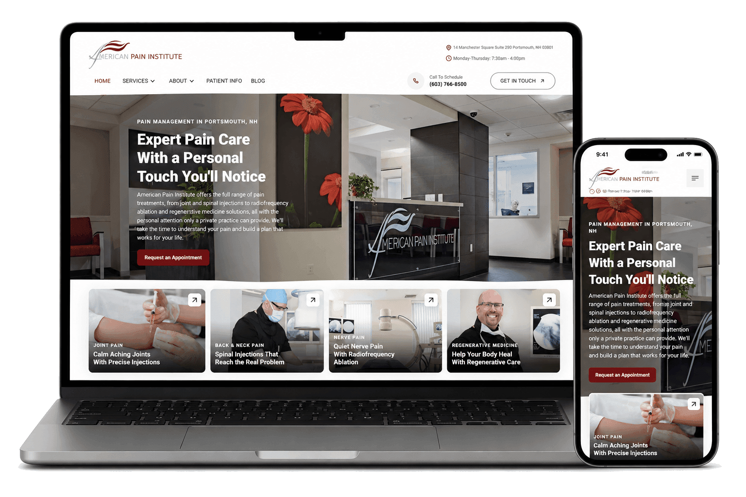 American Pain Institute