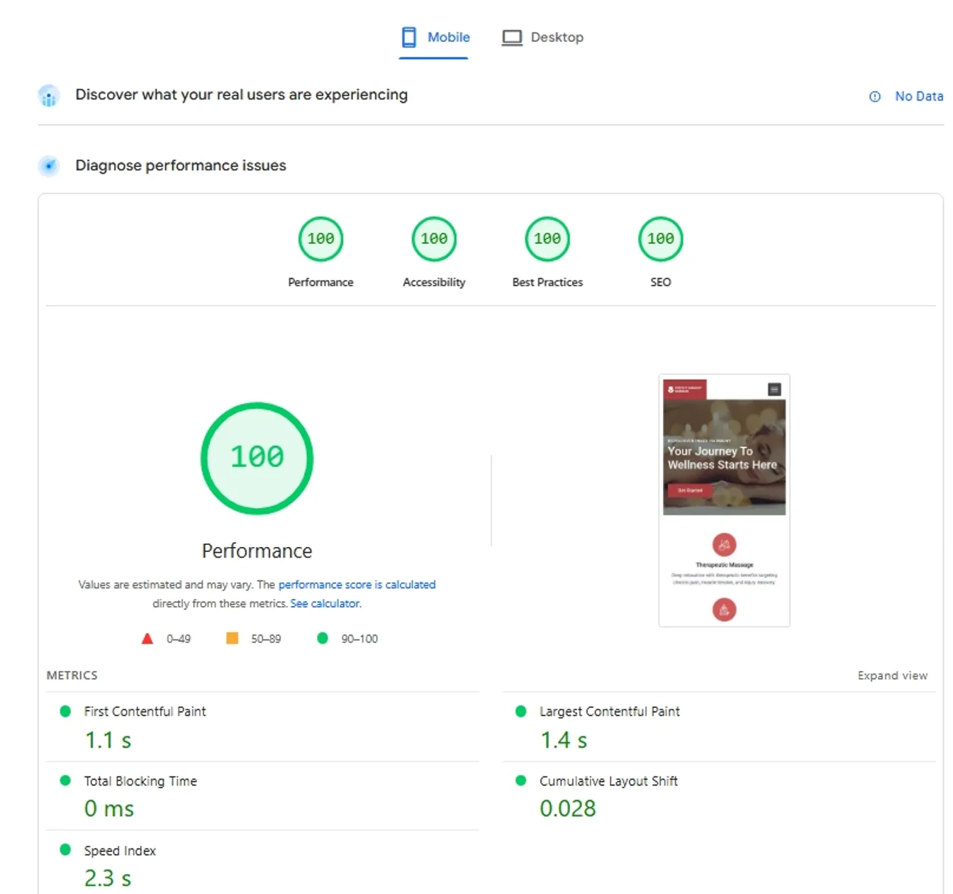 Page Speed